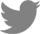 Logo Twitter